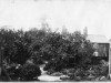 Fairweather's garden