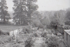 The garden opposite