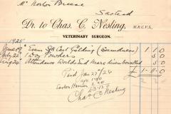 Nesling-104