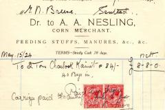 Nesling-AA