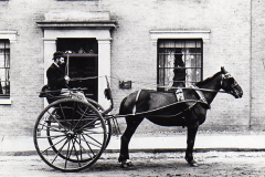 Charles Nesling, Veterinary Surgeon
