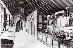 College Museum