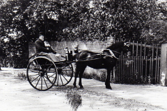 Horse And Trap, Fairfield House