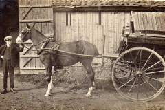 Holmes Bakery Cart