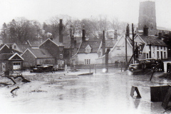 Sale Yard