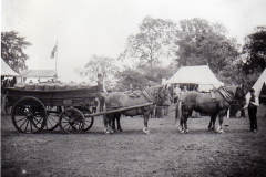 Horse Show. 1903