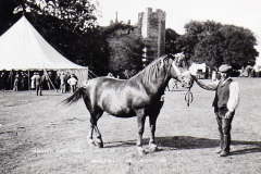 Horse Show 1906
