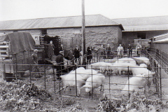 Manby's Yard At The Station