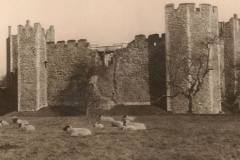 Castle Meadow
