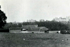 Pigs Meadow
