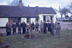 Castle pond tree planting
