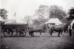 Horse Show. 1903
