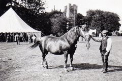 Horse Show 1906