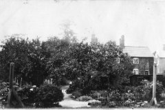 Fairweather's garden
