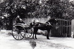 Horse And Trap, Fairfield House