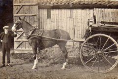Holmes Bakery Cart