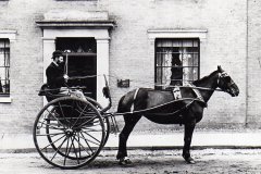 Charles Nesling, Veterinary Surgeon