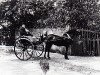 Horse And Trap, Fairfield House