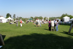 Fram Food, Drink and Music Festival 2011