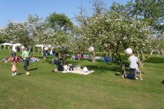 Fram Food, Drink and Music Festival 2011