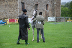 Fram Horse Show 2011