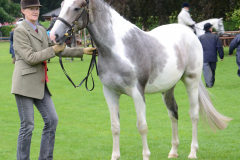 Fram Horse Show 2011
