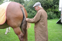 Fram Horse Show 2011