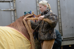 Fram Horse Show 2011