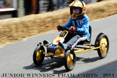 Fram Town Council gravity cart race