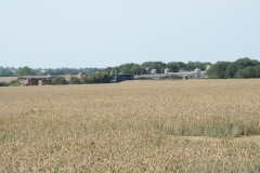 Farming