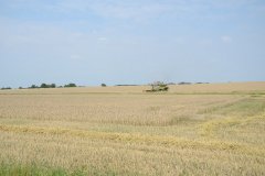 Farming