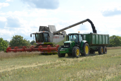 Farming