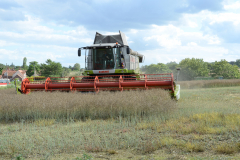 Farming