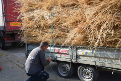Threshing
