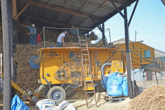Threshing