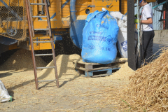 Threshing