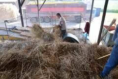 Threshing