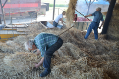 Threshing