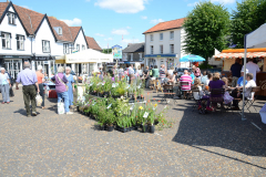 Saturday Market