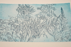 Judith Lockie