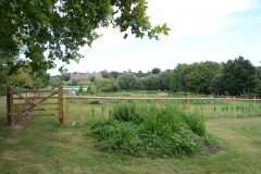Community Garden