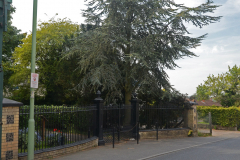 Cemetry