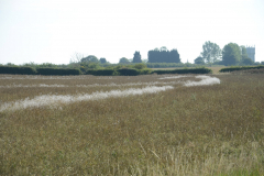 Dry Weather
