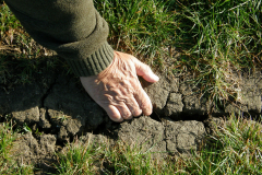 Dry Weather