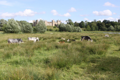 Framlingham views