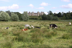Framlingham views
